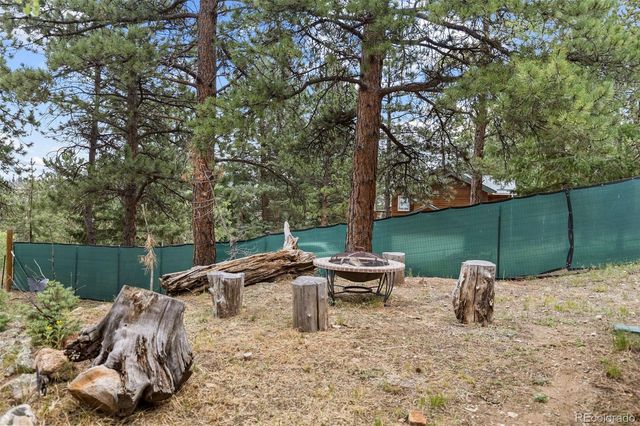 41 Yew Lane, Bailey, CO 80421