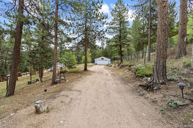 41 Yew Lane, Bailey, CO 80421