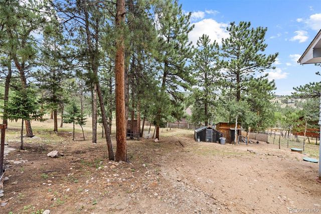 41 Yew Lane, Bailey, CO 80421
