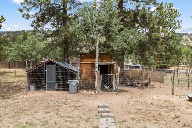 41 Yew Lane, Bailey, CO 80421