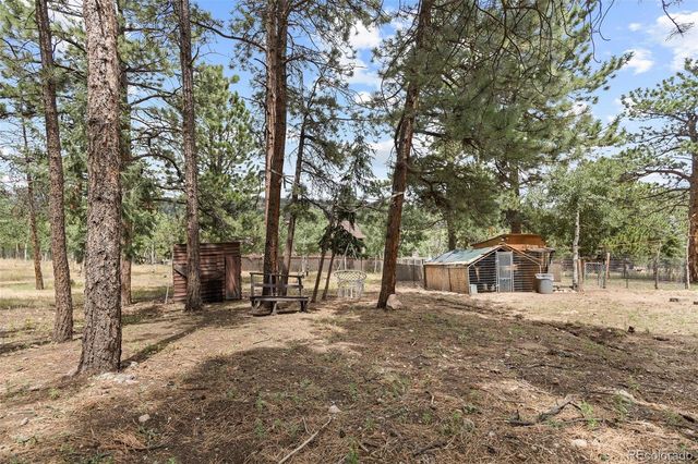 41 Yew Lane, Bailey, CO 80421