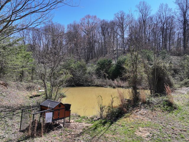 5020 Kingsport Highway, Afton, TN 37616