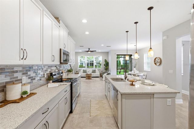 30040 SOUTHWELL LANE, Wesley Chapel, FL 33543