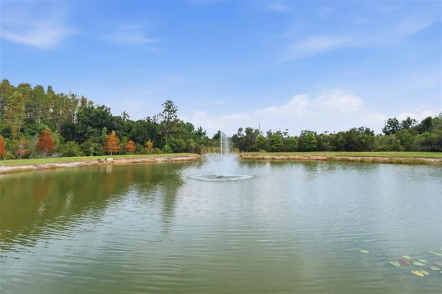 30040 SOUTHWELL LANE, Wesley Chapel, FL 33543