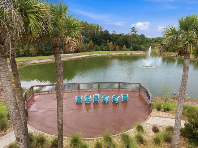 30040 SOUTHWELL LANE, Wesley Chapel, FL 33543