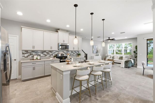 30040 SOUTHWELL LANE, Wesley Chapel, FL 33543