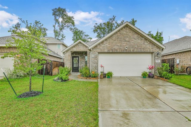 19384 Villa Mesa Drive, New Caney, TX 77357