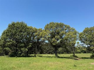 TBD Hwy 75 South, Buffalo, TX 75831