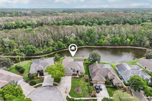 4941 KYLEMORE COURT, Palm Harbor, FL 34685