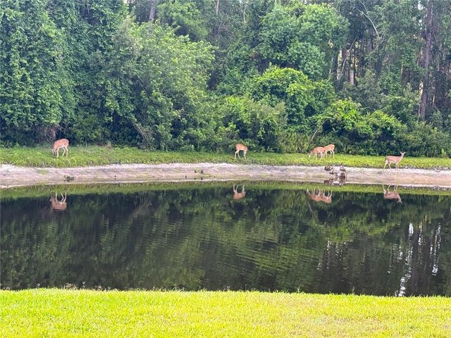 4941 KYLEMORE COURT, Palm Harbor, FL 34685