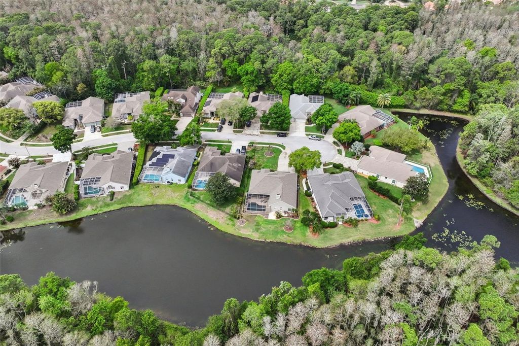 Image 70 of property listing at 4941 KYLEMORE COURT, Palm Harbor, FL 34685