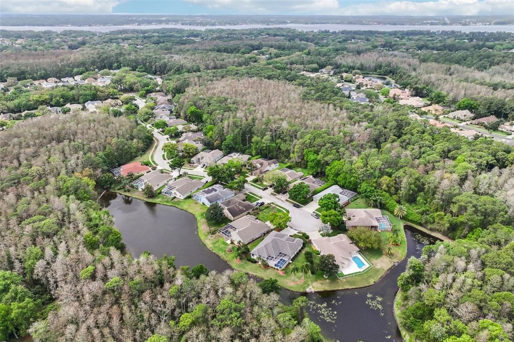 Image 71 of property listing at 4941 KYLEMORE COURT, Palm Harbor, FL 34685