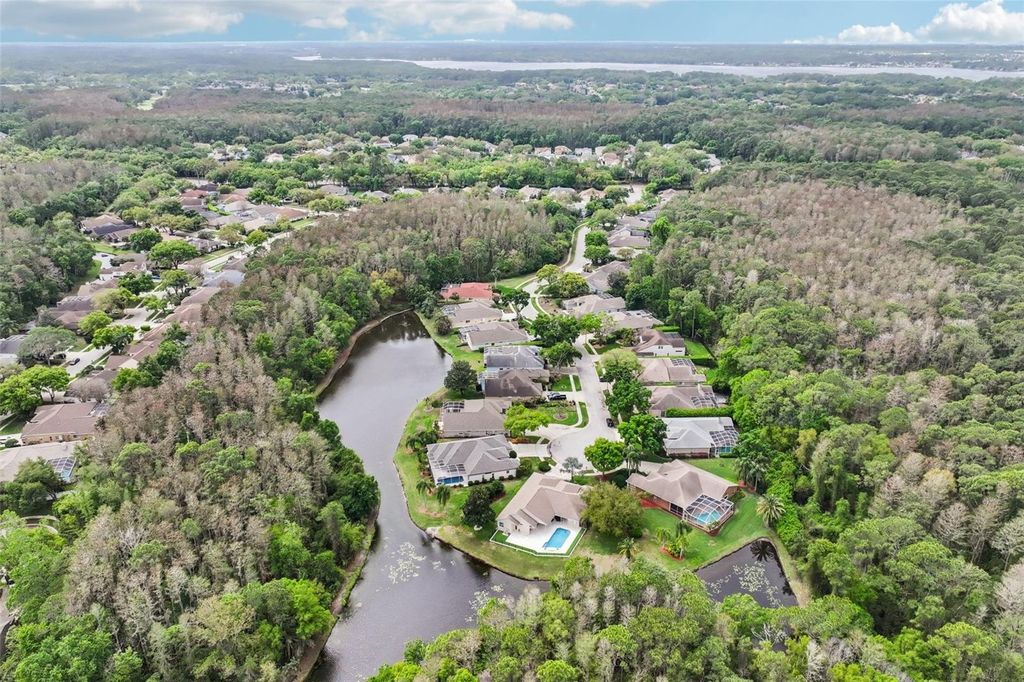 Image 72 of property listing at 4941 KYLEMORE COURT, Palm Harbor, FL 34685