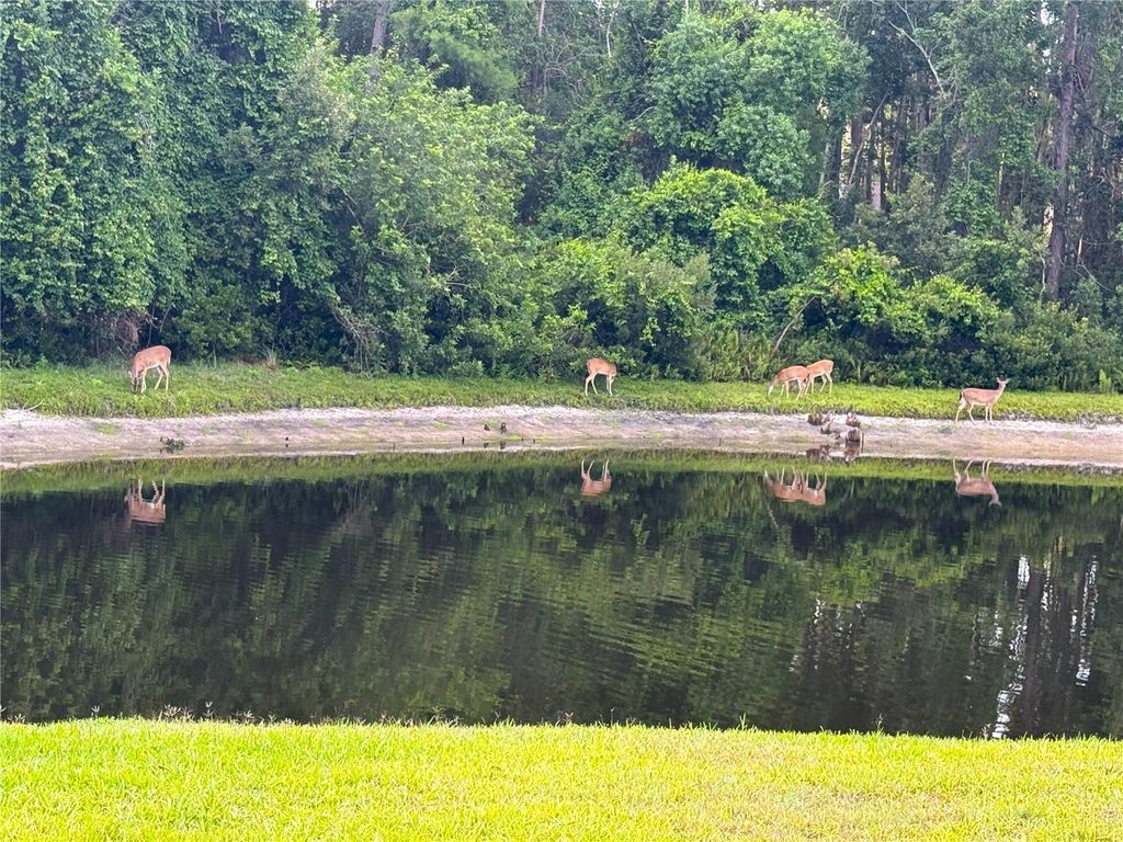 Image 77 of property listing at 4941 KYLEMORE COURT, Palm Harbor, FL 34685