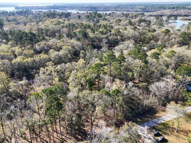 164165 Pin Oak Lane, Huffman, TX 77336