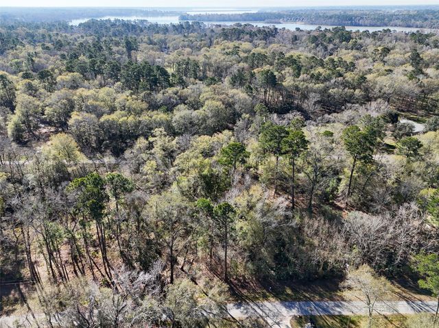 164165 Pin Oak Lane, Huffman, TX 77336