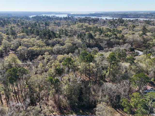 164165 Pin Oak Lane, Huffman, TX 77336