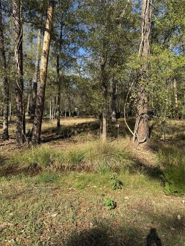 164165 Pin Oak Lane, Huffman, TX 77336