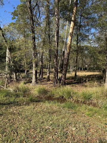 164165 Pin Oak Lane, Huffman, TX 77336