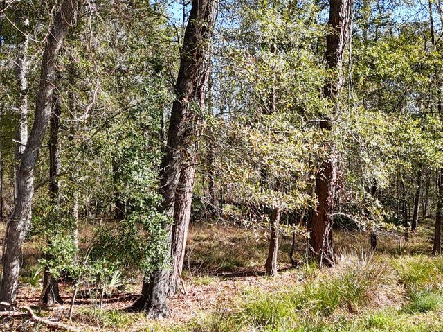 164165 Pin Oak Lane, Huffman, TX 77336