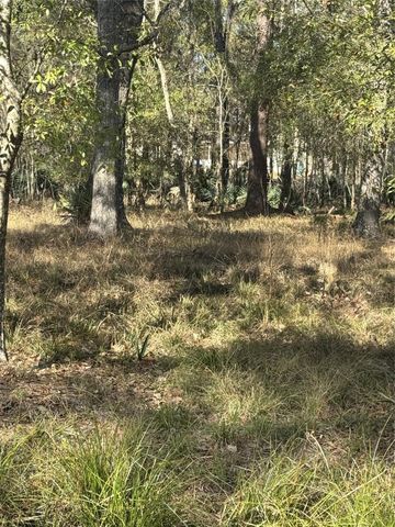 164165 Pin Oak Lane, Huffman, TX 77336