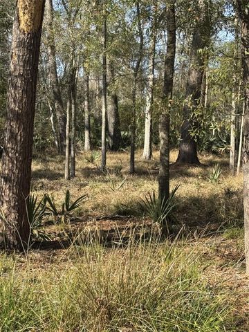 164165 Pin Oak Lane, Huffman, TX 77336