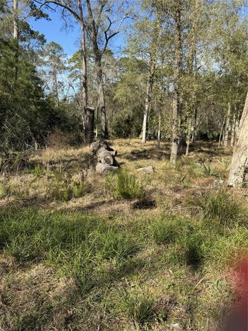 164165 Pin Oak Lane, Huffman, TX 77336