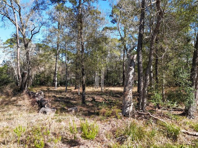 164165 Pin Oak Lane, Huffman, TX 77336