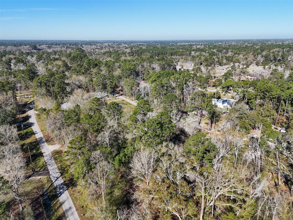 164165 Pin Oak Lane, Huffman, TX 77336