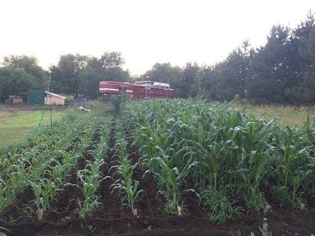 24410 188th Street NW, Big Lake, MN 55309