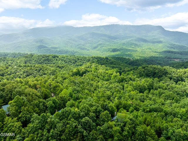 617 Almost Heaven Way, Gatlinburg, TN 37738