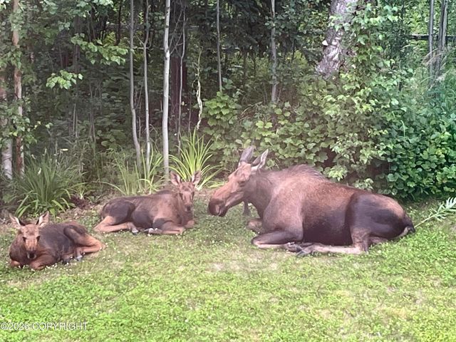 3170 W Secluded Meadows Loop, Wasilla, AK 99623