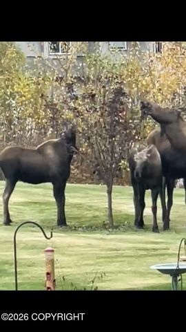 3170 W Secluded Meadows Loop, Wasilla, AK 99623