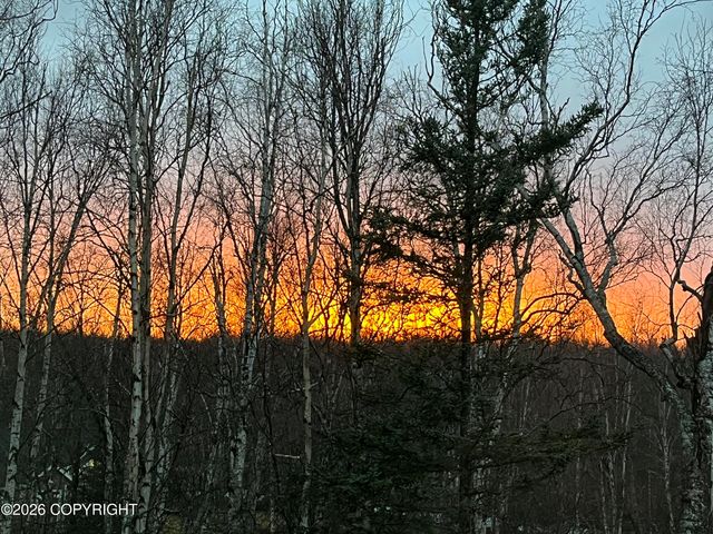 3170 W Secluded Meadows Loop, Wasilla, AK 99623