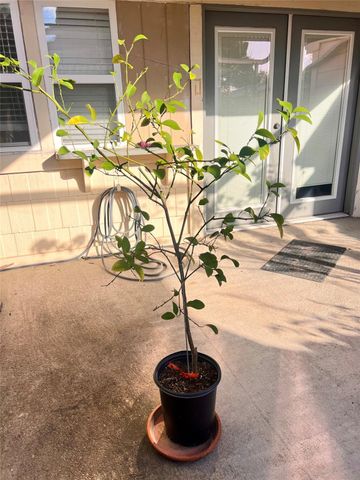 10831 Sandpiper Drive 188, Houston, TX 77096