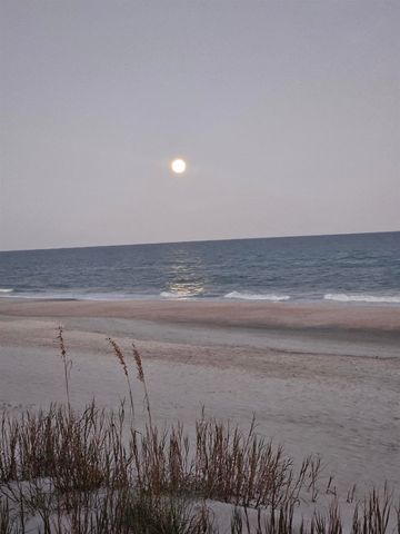 138 Avian Dr Unit 101, Pawleys Island, SC 29585
