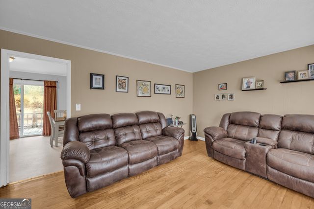 171 Diamond Drive, Clarkesville, GA 30523