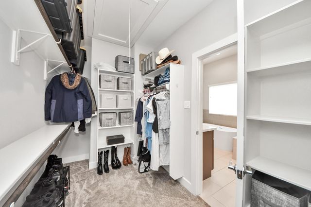 3305 Daphne Street, Houston, TX 77021