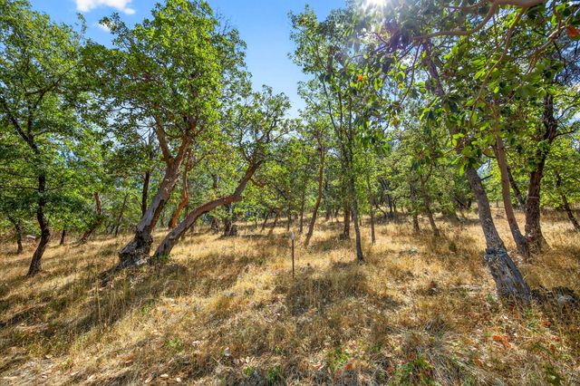 330 E Fir Street, Jacksonville, OR 97530