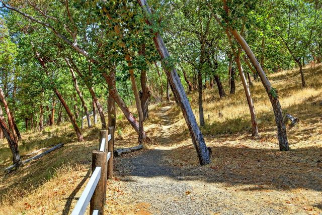 330 E Fir Street, Jacksonville, OR 97530