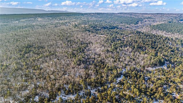 40 Acre, Delaware, AR 72835