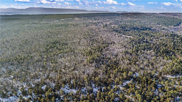 40 Acre, Delaware, AR 72835