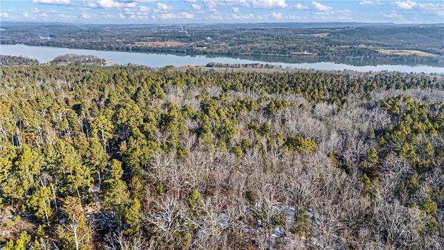 40 Acre, Delaware, AR 72835