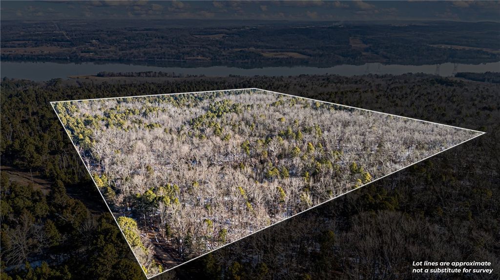 40 Acre, Delaware, AR 72835