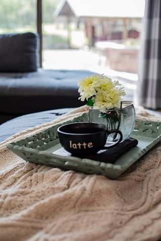 3272 MAJESTIC OAK DRIVE, St Cloud, FL 34771