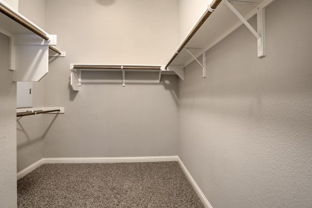 3667 Rosalina LOOP, Round Rock, TX 78665