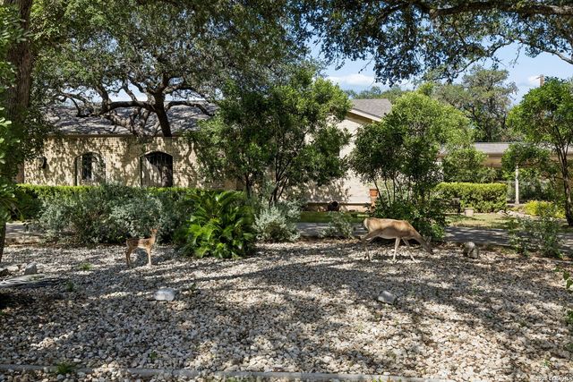 206 Rio Seco St, San Antonio, TX 78232