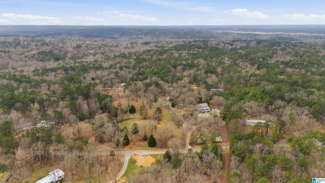 12864 BRASWELL DRIVE, Mccalla, AL 35111