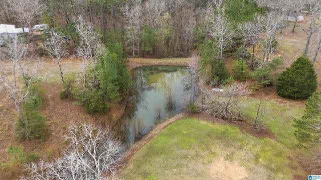 12864 BRASWELL DRIVE, Mccalla, AL 35111