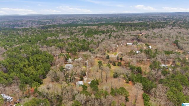 12864 BRASWELL DRIVE, Mccalla, AL 35111